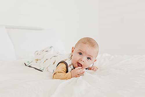 Image of Copper Pearl Baby Sleep Sack, Ace - Wearable Blanket for 0-6 Months, Sleeveless Sleep Sack for Baby Boy or Girl