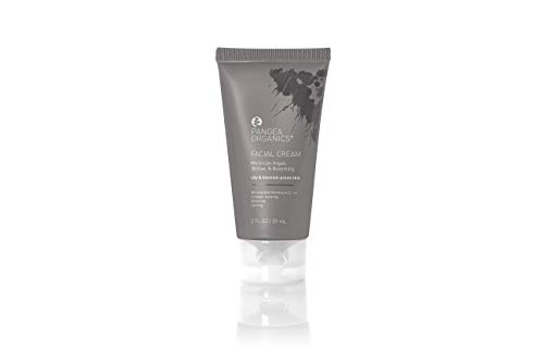 Pangea Balancing, Plant-based Facial Cream for Oily & Blemish-prone skin, 2 fl oz.