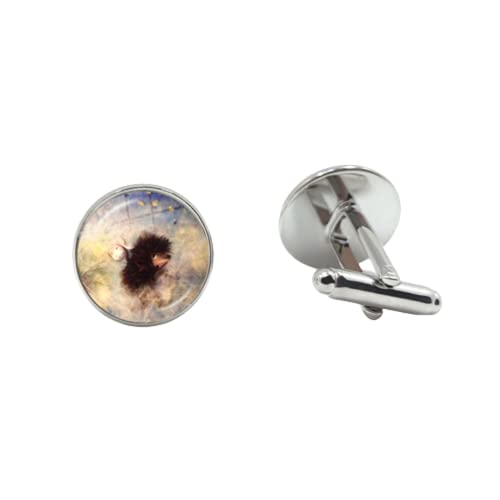 Erizo en la niebla Gemelos hombres mujeres Cabujón de vidrio hermosa dibujos animados Anima foto hecha a mano Gemelos Accesorios, 25mm, bronce, cristal, vidrio, metal, níquel, plata, estabilizado