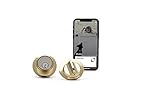Level Lock – Previous Model (Polished Brass)