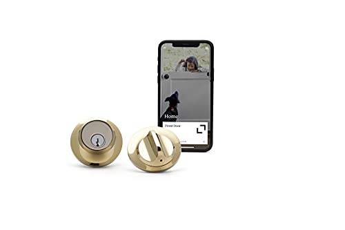 Level Lock – Previous Model (Polished Brass)