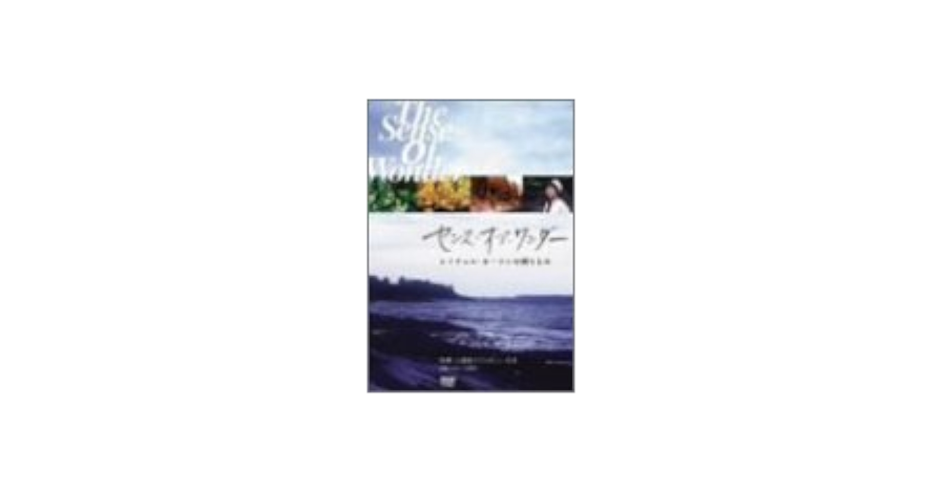 センス・オブ・ワンダー [DVD] Amazon.co.jp: S.O.W.センスオブワンダー(初回限定盤)(DVD付