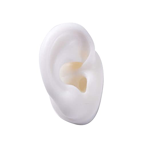 Akatsukiqi 1pc New New New New Silicone Ear Model Pratique Perçage Outils d'oreille Stud Stud Tool Tool Body J-Ewelry (Couleur : White Right)