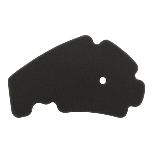 Filtre à air pour Piaggio Beverly 250 et Cruiser 300, élément de rechange moteur