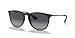 Produktbild Ray-Ban Herren 0rb4171 Sonnenbrille, Schwarz/Grau (Matte Black Rubber Dark Ruthenium/Grey), 54
