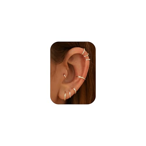 Dimaday 8PCS Boucles d'oreilles Anneau en Acier Inoxydable Nez Anneaux Septum Piercing Cartilage 16G pour Hommes Femmes Set de Bijoux pour Piercing de Nez...
