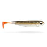 Lieblingsköder Bandit 100mm 10cm Sonderfarbe 4260377859328 Angeln auf Barsch Zander Hecht