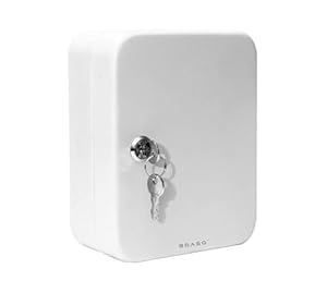 BRASQ KC100 Schlüsselkasten Metall Grau 20 Haken