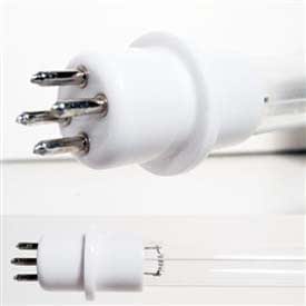 伊藤園 健康ミネラル むぎ茶 2L 2ケース12本セット 2000ml 送料無料 ペットボトル PET 麦茶 お茶 カフェインゼロ カロリーゼロ 飲料 飲み物 ドリンク ソフトドリンク おすすめ まとめ買い 備蓄 おいしい ギフト プレゼント 贈り物 お祝い 内祝い お返し 誕生日