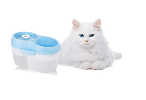 Cat H2O Filtered Cat Water Fountain 67 fl. oz/2.1 Quart with Filter & Dental Care Tablet, Blue/Translucent White