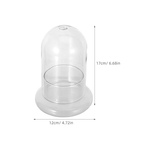Botellas de vidrio de borosilicato COLLBATH para terrarios y micropaisajes con agujero de 8mm 3