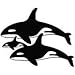 Killer Whale Family - Animal Decal Vinyl Car Wall Laptop Cellphone Sticker