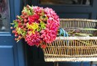 Paris des fleurs et des fleuristes / Paris Flowers and Florists, PAUMES, Japan 4072649635 Book Cover