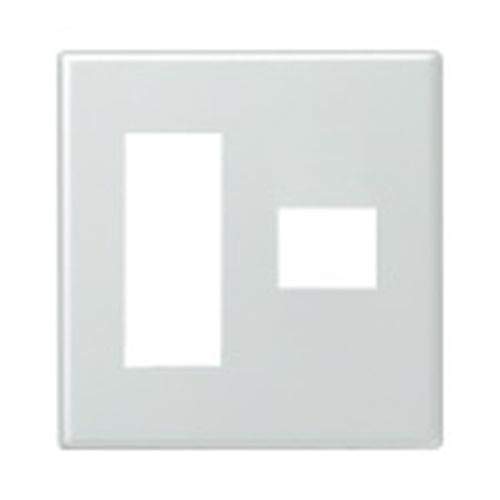 Amazon.co.jp: パナソニック(Panasonic) 新金属コンセントプレート 2型