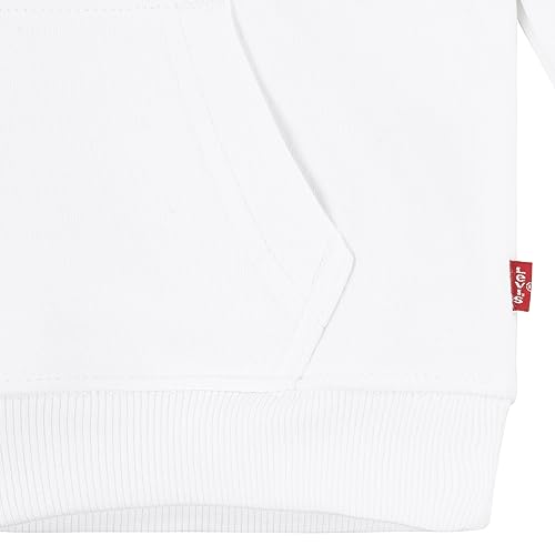 Image of Levi's Boys' Soft Knit Graphic Pullover Hoodie