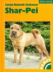shar pei mix abzugeben  Der Shar-Pei