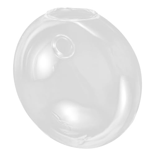 HOLIDYOYO Jarrón Hidropónico Transparente para Plantas de Interior Colgante, Cristal Decorativo para Pared, Maceta Ahorra Espacio para Balcones y Centros de Mesa, 1 Unidad