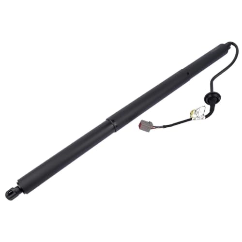 Support levage hayon électrique Tesla Modèle S 12-19
