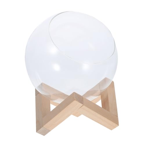 Station de propagation en verre et bois, cadeau déco idéal