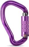 AmBAYZ Carabiner Key CHEIS Clip Hook sperren, 2 3kn Autoverriegelungstor Carabiner Heavy Duty D Form Schnalle Pack D-Ring-Carabiner Klettern Abseilung Hängemattenverriegelungsclip