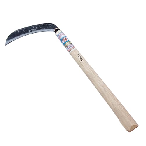 芙  y^ yŐn n16.5cm  J} G 蓹 | K[fjO _ ƒ؉ {