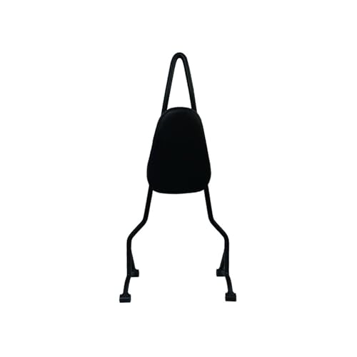 Accessoires modifiés pour CLC450 : fixez ce dossier de selle arrière pour voyager serein