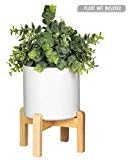 Mid Century Modern Plant Stand: The Northern Habitat Wood Table Top Planter with 4.5 Inch Round Pot - Indoor Matte White Ceramic Pot and Bamboo Pot Holder for Plants - Succulent Pots and Wooden Stands