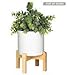 Mid Century Modern Plant Stand with 4.5 Inch Round Pot - The Northern Habitat Wood Table Top Planter - Indoor Matte White Ceramic Pot and Bamboo Pot Holder for Plants - Succulent Pot and Wooden Stand