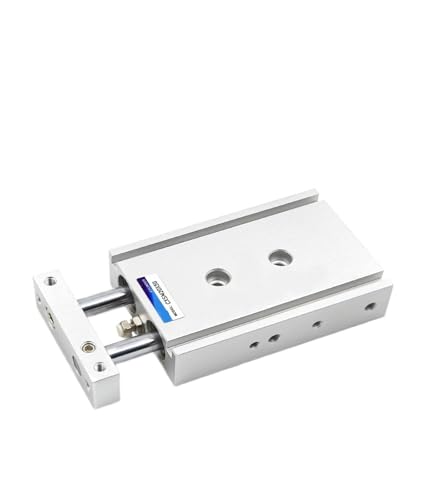 Vérin double tige mince TR25 rigide anti-rotation pour automatisme