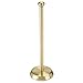 mDesign Metal Free-Standing Toilet Paper Holder with Brushed Stainless Steel Tube, Stand with Storage Roller Organizer for Bathroom Cabinet - Holds 3 Rolls Toilet Tissue - Hyde Collection - Soft Brass