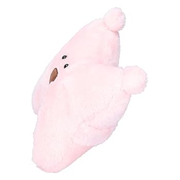 Paperback CORREO DEL ORINOCO [Spanish] Book