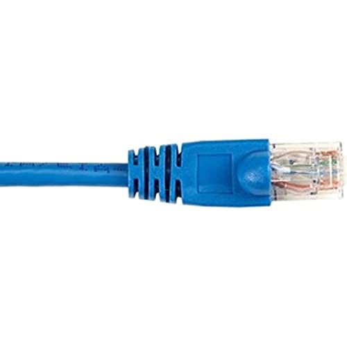 6 ft cat6�u���[Molded STRNDED