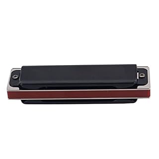 wueiooskj Blues Harp C Key Harmonica diatonique à réponse pour enfants débutants - Les Beatles, Paul McCartney, John Lennon, RIngo Starr, George Harrison wueiooskj Blues Harp C Key Harmonica diatonique à réponse pour enfants débutants – Image 4