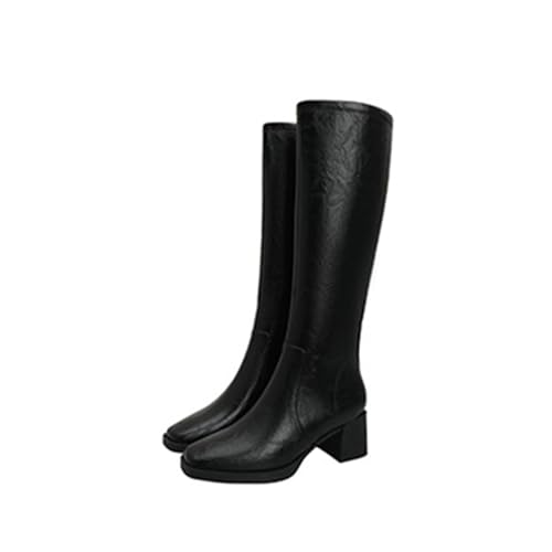 [Z_ `V] WbL[u[c fB[X  22.5cm ₷ ubN Ou[c ₷ nCq[ 6Z` ؂ JWA GWjA ɂȂ ɂ  ʋ ʊw s G oCNp q[ r 