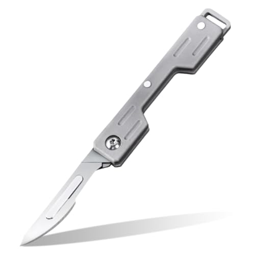 NHQZ 1 Piezas Navaja Pequeña, Mini Edc Navaja De Bolsillo, Keychain Multiusos, Pequeña Navaja Plegable De Titanio Con Orificio Para Llavero Incorporado Para Llevar Todos Los Días(plata,A)