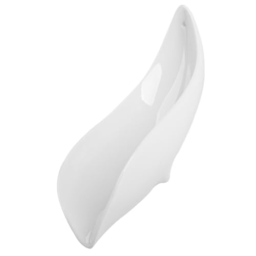 Hemobllo Loose Leaf Tea Scoop Ceramic Tea Spoon Spices and Bars Lightweight Portable Accessory