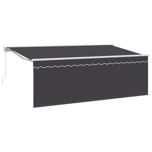 Store banne manuel avec toile robuste résistante aux intempéries 4x2m