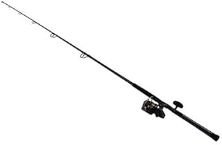 Daiwa BG5000/701H BG Saltwater Pre-Mounted Combo, 5000, 6+1 Bearing, Spinning, 7' Rod, 1Piece