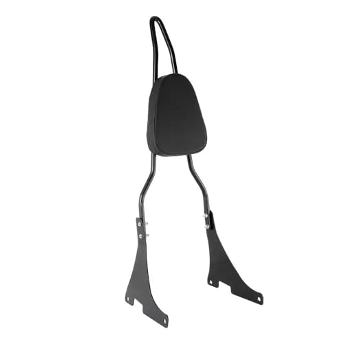 Coussin de dossier passager pour moto XL1200 résout le mal de dos