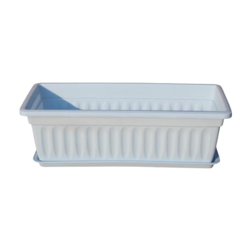 Ziociura Aؔp̑v^[AgCƔrt̖؃{bNX, 