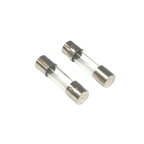 Fusible à action rapide 5x20mm 300mA en verre hautement conducteur