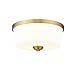 Z-Lite 3 Light Flush Mount 220F3-HBR, Brass