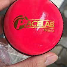 PACELAB PINK WEIGHTED BALL 180GMS