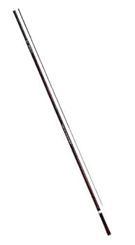 Amazon | ダイワ(DAIWA) 銀影 競技 A H85・N | ダイワ(DAIWA) | 鮎竿
