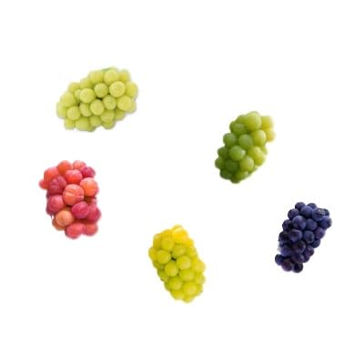 (2026年先行受付)岡山 花笑み農園のブドウ『シャイン親子セット』