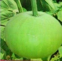 U9G Vegetable Seeds Bottle Gourd Round F1 Hybrid Organic Seeds For Home And Kitchen Graden (B0BW8VMPNS) Amazon Price History, Amazon Price Tracker