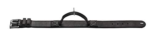 HUNTER Trainingshalsband mit Griff Larvik M-L (60), Schwarz