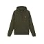 W485 Olive