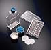 356692-96-Well Multiwell Plates with Poly-D-Lysine - Corning? BioCoat?? Cellware, Poly-Lysine, Corning? - Case of 80