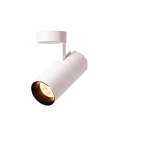 KJUEQ Foco LED de 7W montado en Superficie, Estilo nórdico, luz Techo giratoria 360 ​​Grados, for Tienda hogar(3000K,White_7W)